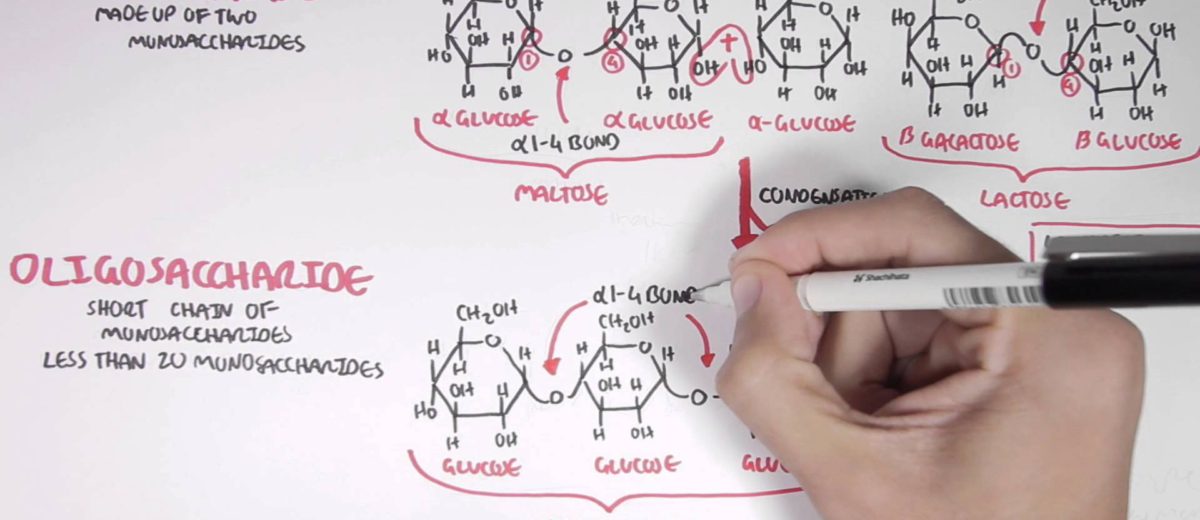 BASIC CONCEPTS IN •  A STUDENT’S SURVIVAL GUIDE BIOCHEMISTRY
